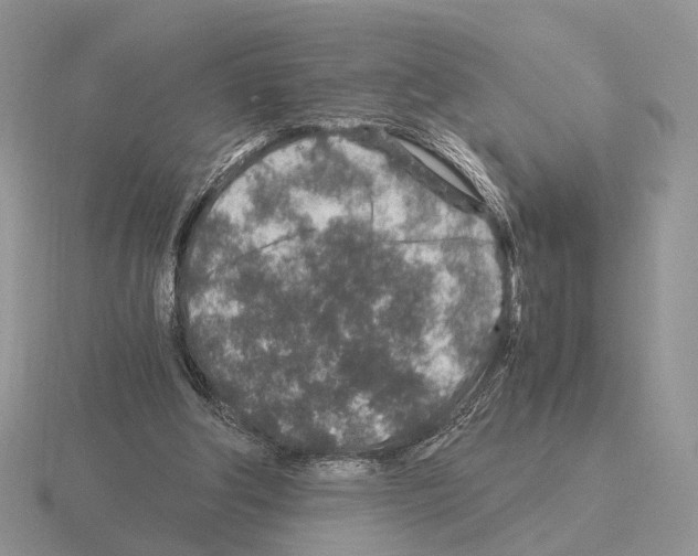 X0000115370202200912151426