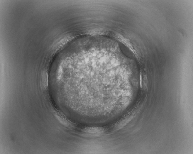 X0000115370205200912151426