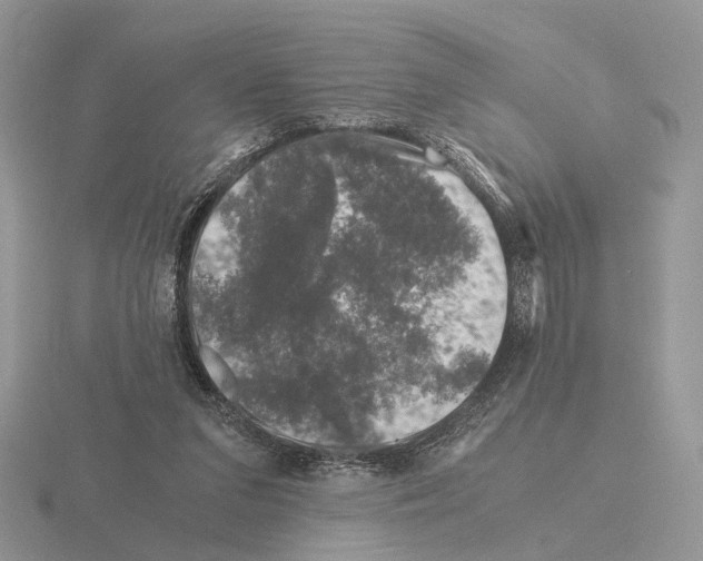 X0000115370207200912151426