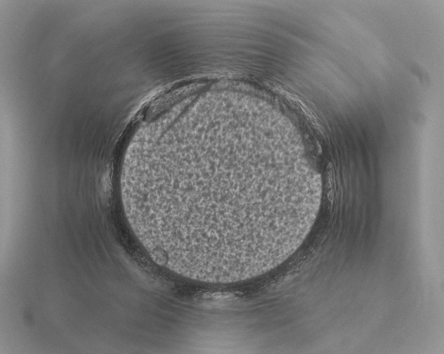 X0000115370208200912151426