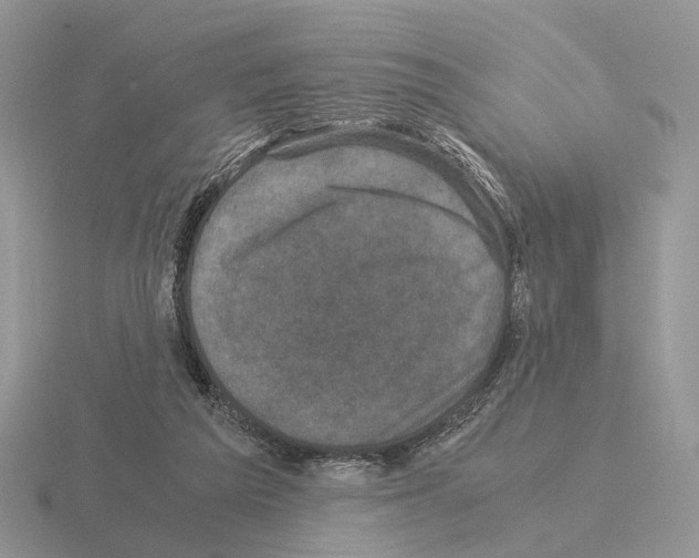 X0000115370209200912151426