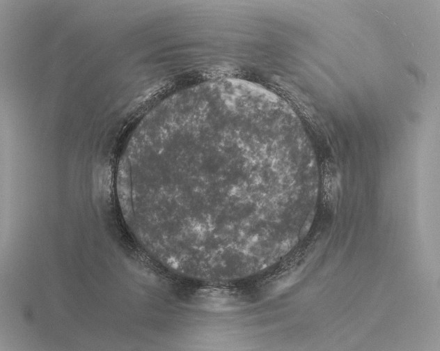 X0000115370211200912151426