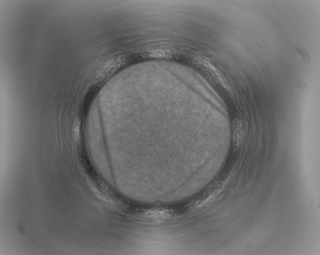 X0000115370213200912151426