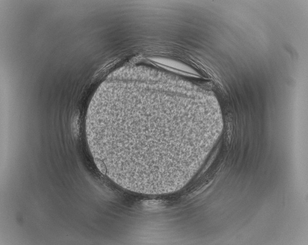 X0000115370216200912151425