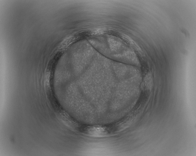 X0000115370217200912151425