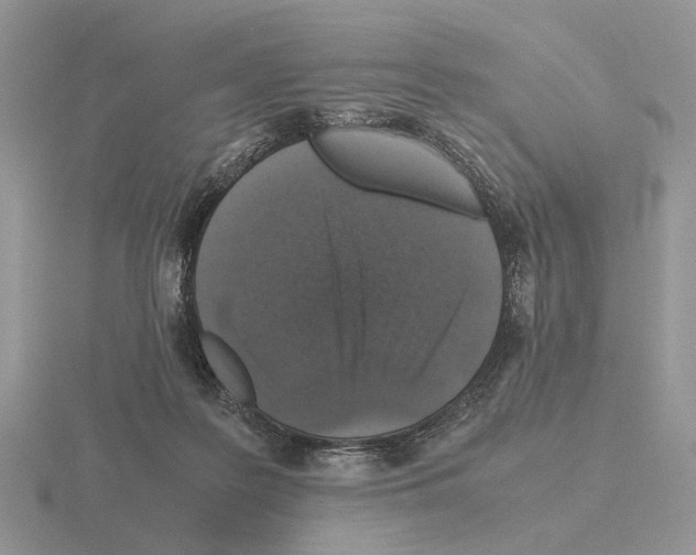 X0000115370219200912151425