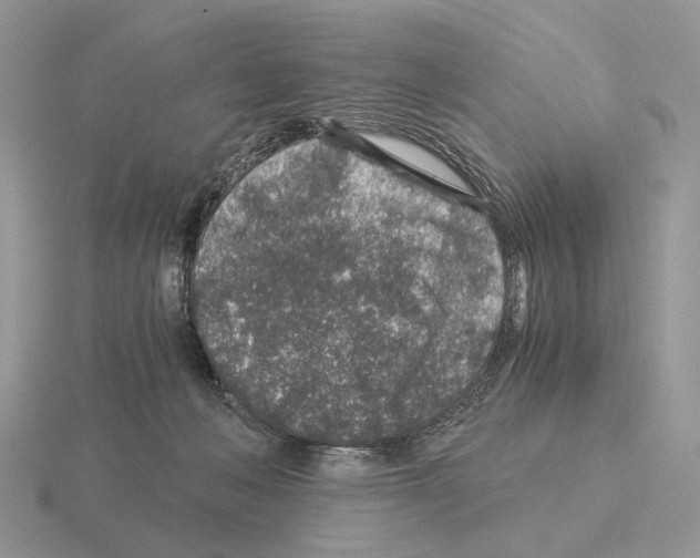 X0000115370222200912151425