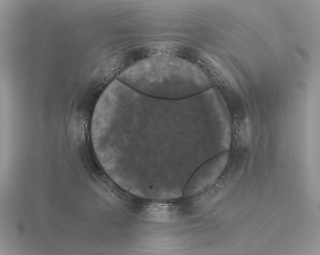 X0000115370227200912151425