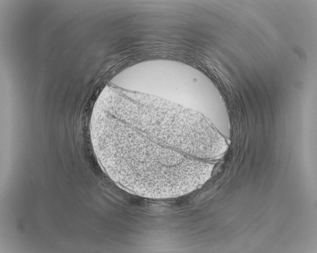 X0000115370229200912151425