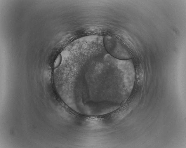 X0000115370231200912151425