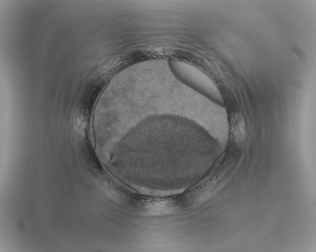 X0000115370235200912151425