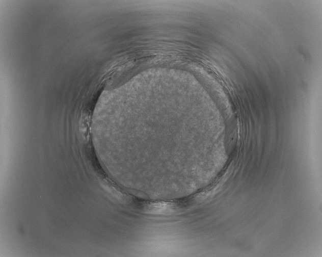 X0000115370237200912151425