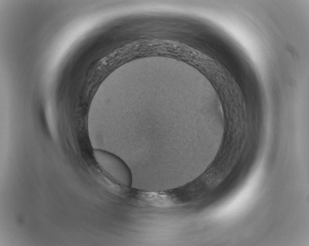 X0000115370239200912151425