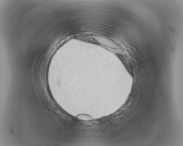 X0000115370241200912151425