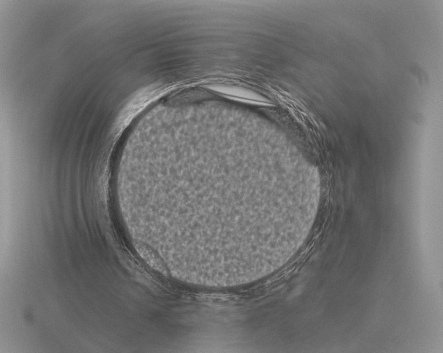 X0000115370242200912151425