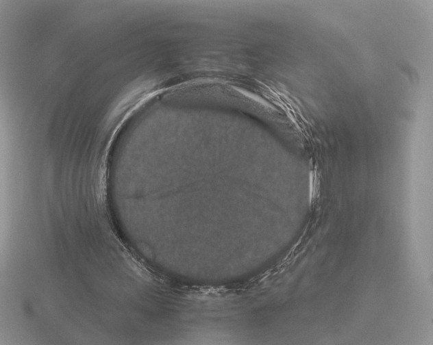 X0000115370243200912151425