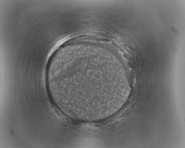 X0000115370244200912151425