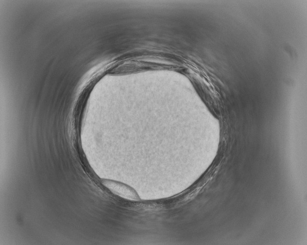 X0000115370245200912151425