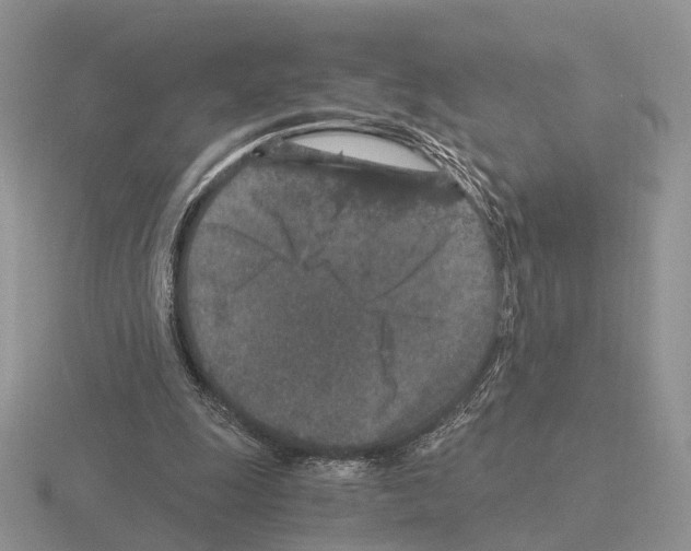 X0000115370247200912151425