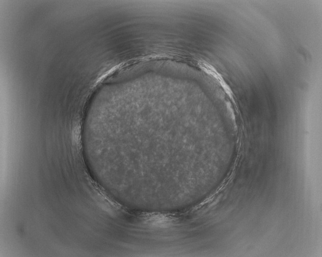 X0000115370249200912151425