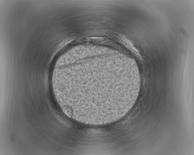 X0000115370250200912151425