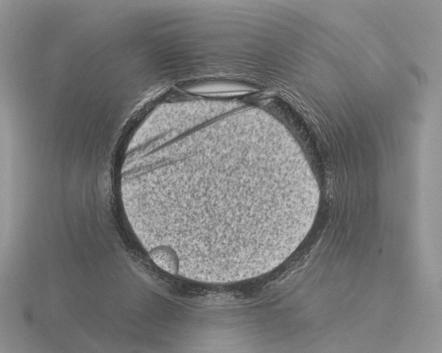 X0000115370256200912151425