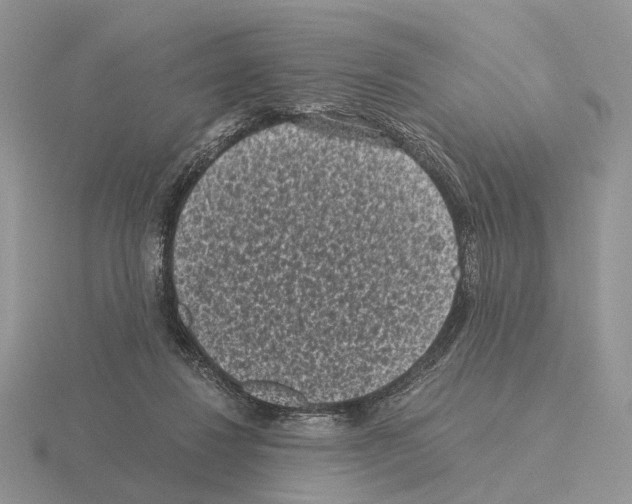 X0000115370260200912151425