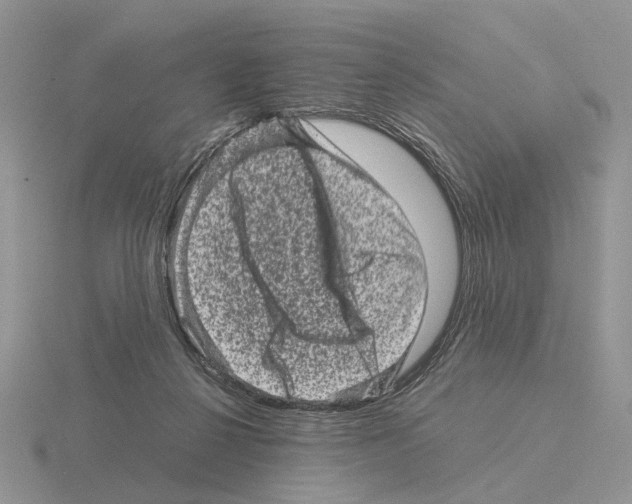 X0000115370264200912151425