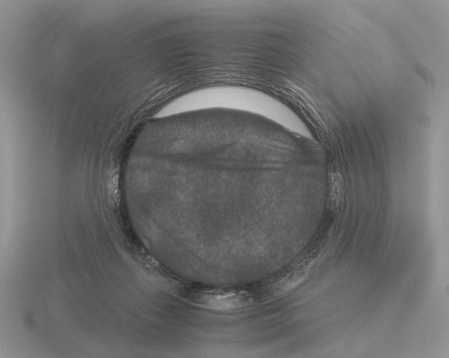 X0000115370267200912151425