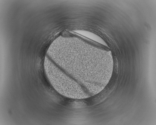 X0000115370270200912151425