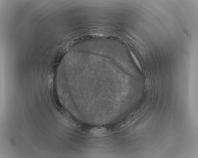 X0000115370271200912151425