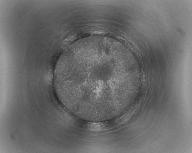 X0000115370277200912151425