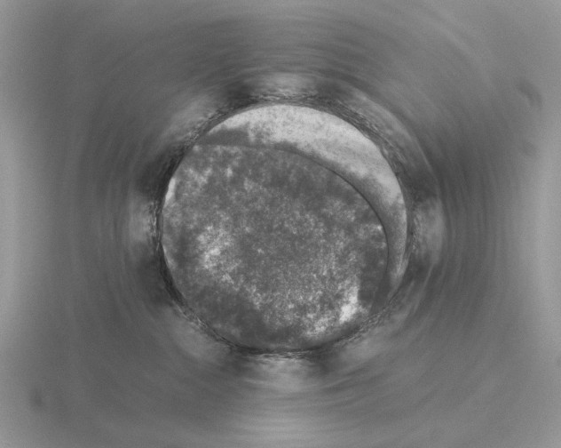 X0000115370284200912151425