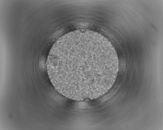 X0000115370287200912151425