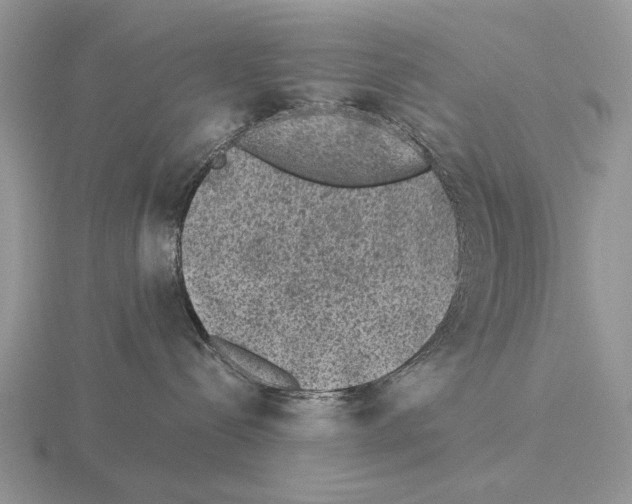 X0000115370288200912151425