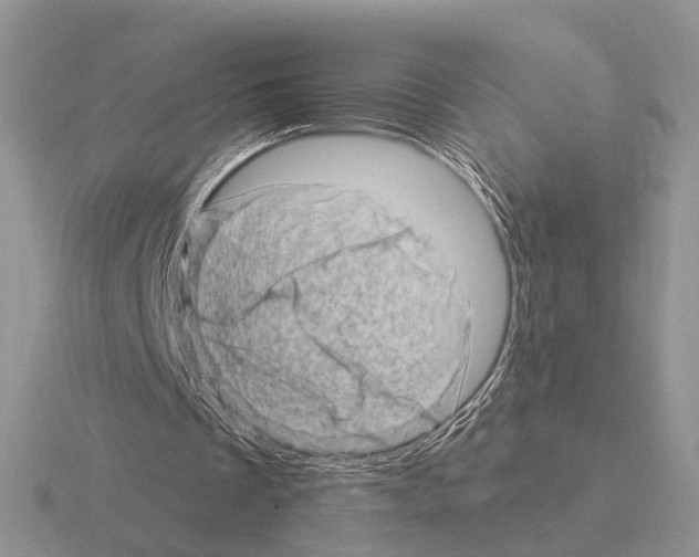 X0000115370289200912151425