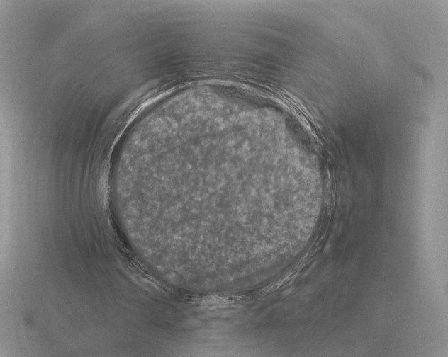 X0000115370290200912151425