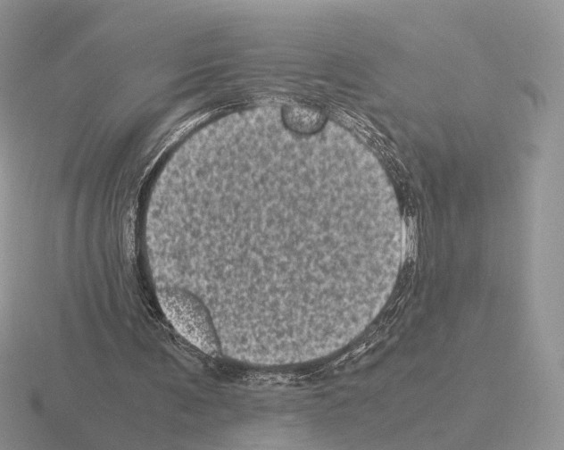 X0000115370291200912151425