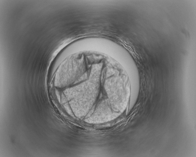 X0000115370292200912151424