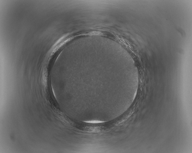 X0000115370295200912151424