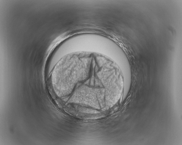 X0000115370296200912151424