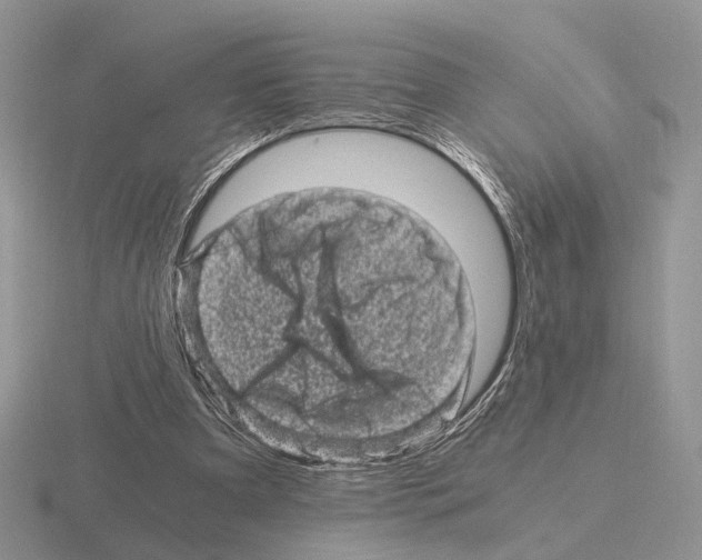 X0000115370297200912151424