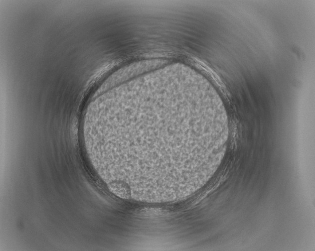 X0000115370298200912151424