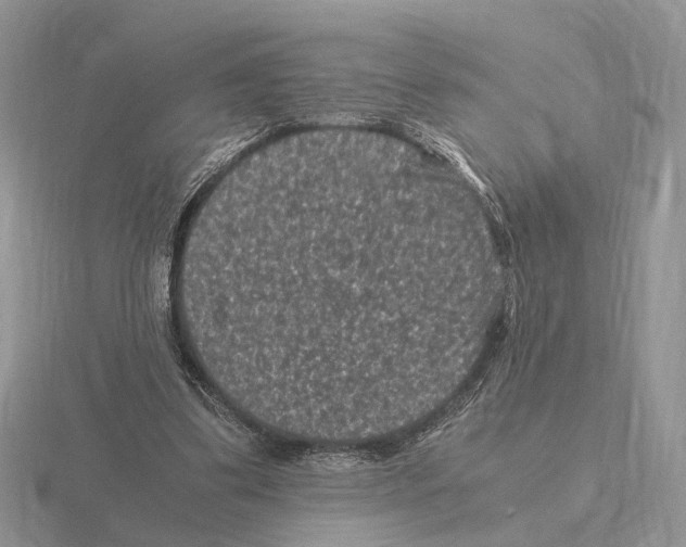 X0000115370299200912151424