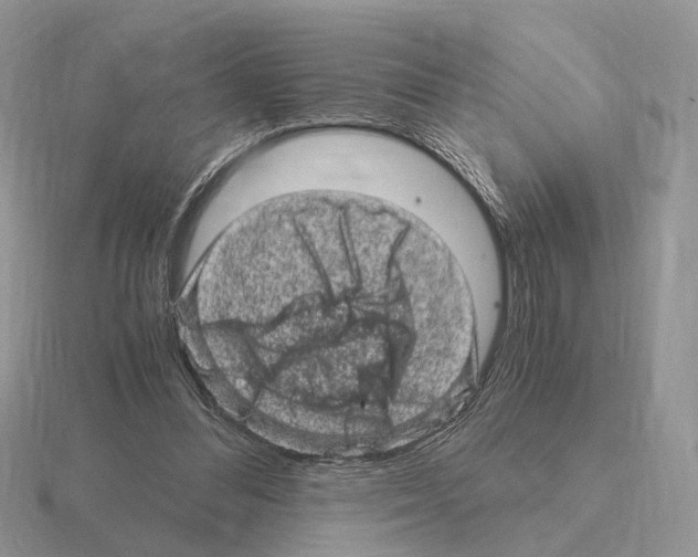 X0000115370300200912151424