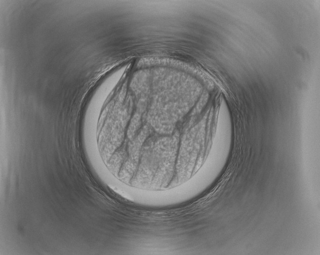 X0000115370301200912151424