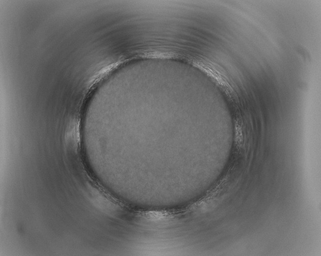 X0000115370302200912151424