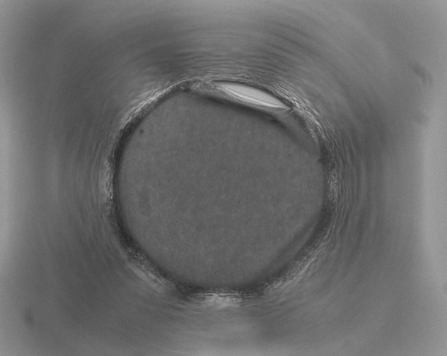 X0000115370303200912151424