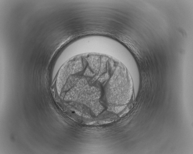 X0000115370304200912151424