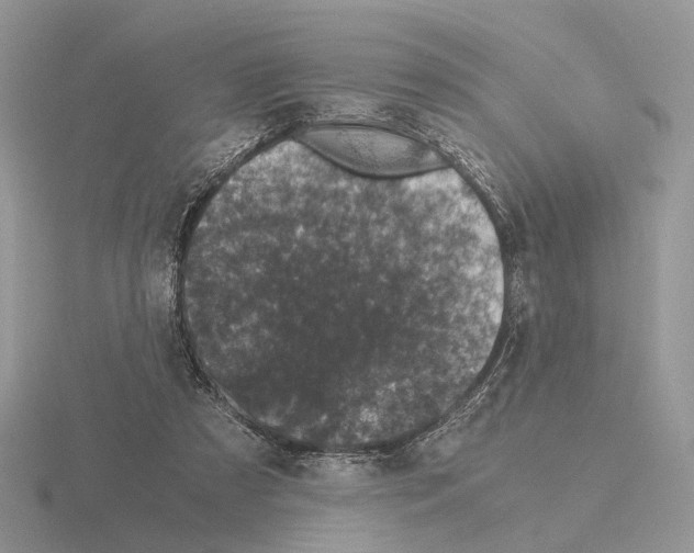 X0000115370305200912151424